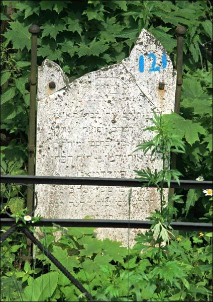 Могилёв. Кладбище еврейское