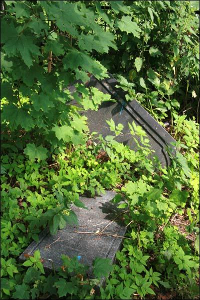 Могилёв. Кладбище еврейское