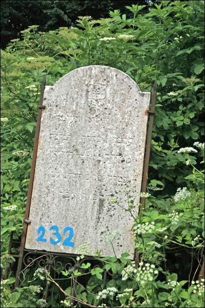 Могилёв. Кладбище еврейское