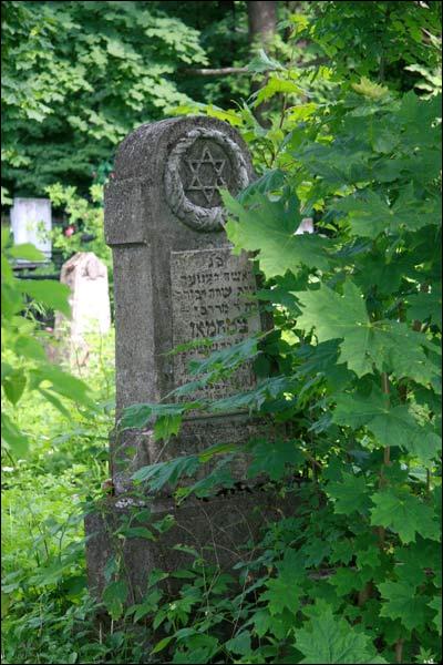 Могилёв. Кладбище еврейское