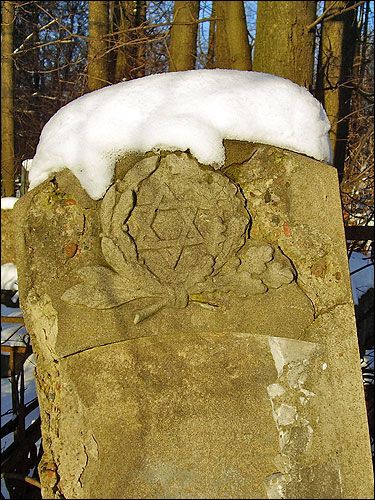 Могилёв. Кладбище еврейское