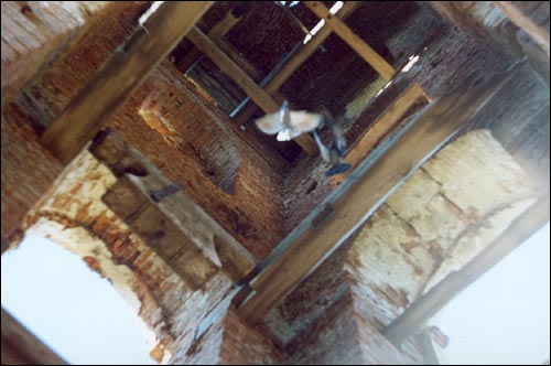 Сялец (Ануфрыеў). Царква Святога Ануфрыя