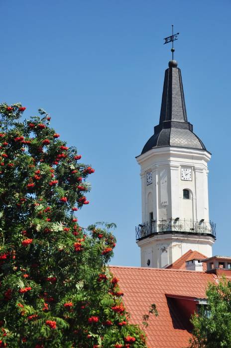 Szkłów. Ratusz 