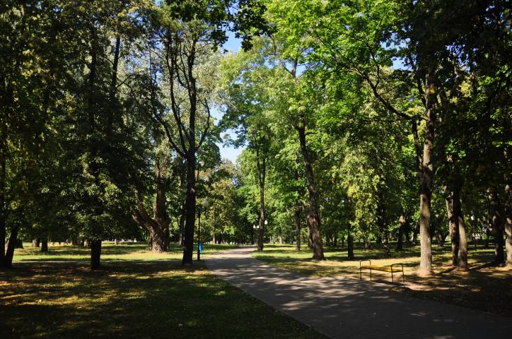 Szkłów. Park dworski przy dawnym majątku Zabramne