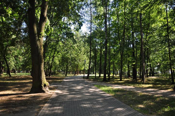 Szkłów. Park dworski przy dawnym majątku Zabramne