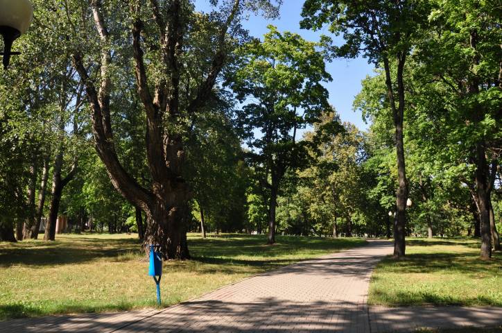 Szkłów. Park dworski przy dawnym majątku Zabramne