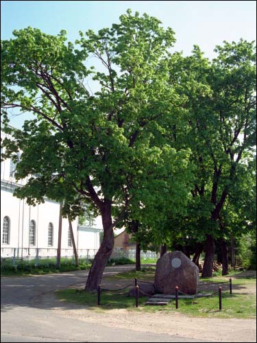  - В местечке . 