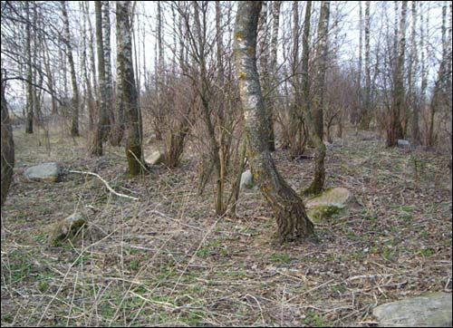  - Могілкі габрэйскія. Фрагмент могілак