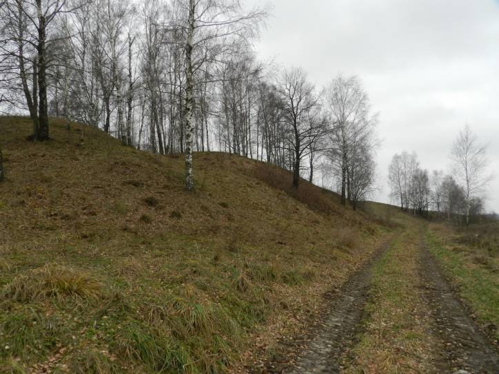 Stara Mysz.  Wały dawnego zamku Chodkiewiczów
