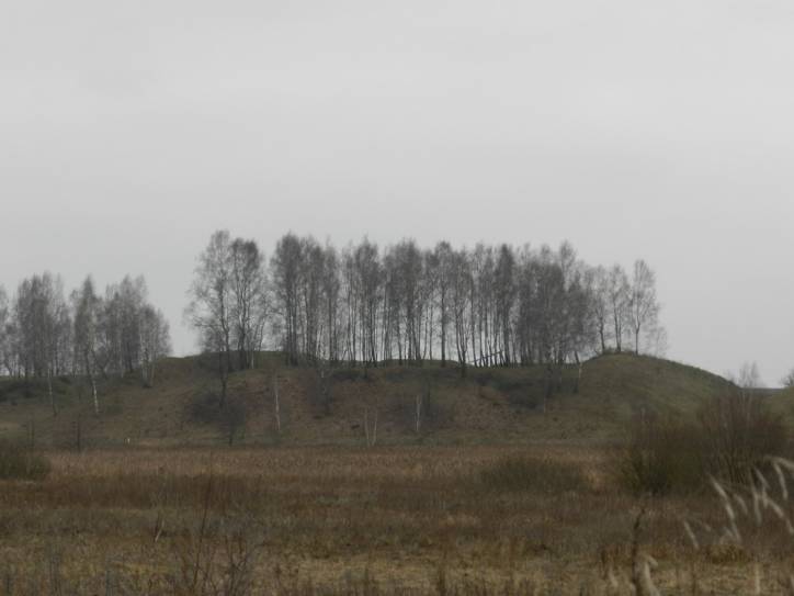 Stara Mysz.  Wały dawnego zamku Chodkiewiczów