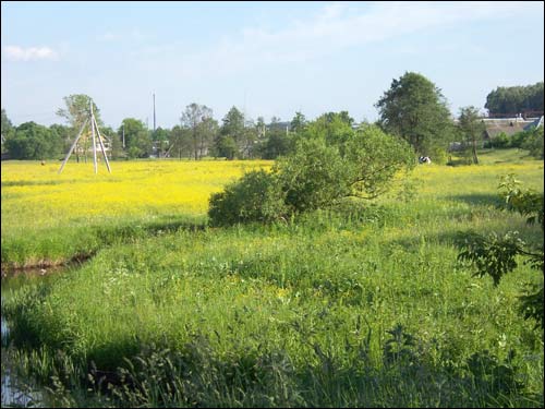 Краснае. У мястэчку 