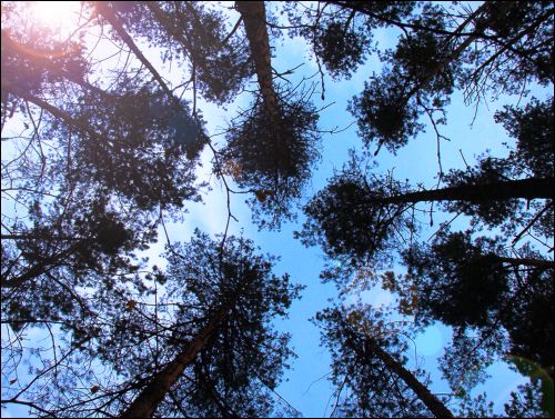  - В местечке . 