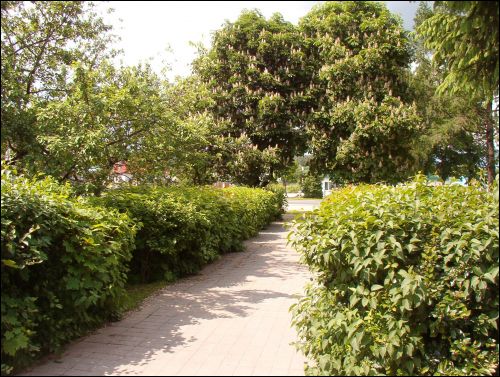  - В местечке . 