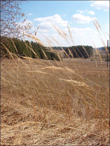  - В местечке . 