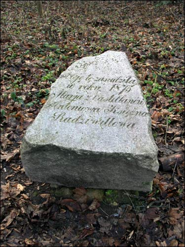 Krasnaja Zviazda (Radzivilimonty). Manor of Radziwiłł