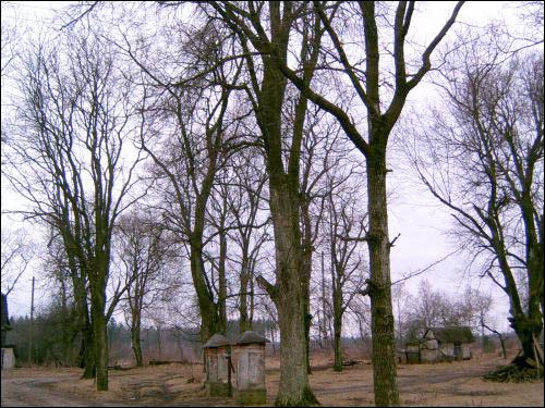  - Dwór Strzałków. Podwórze