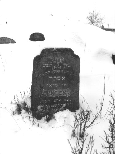 Красное. Кладбище еврейское