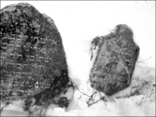 Красное. Кладбище еврейское