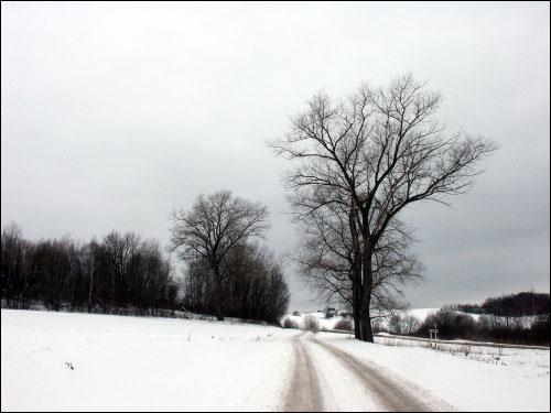 Plabań. Landscapes 