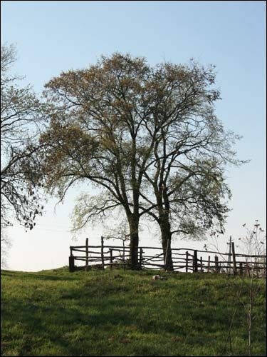  - Krajobrazy . Krajobraz z Zadwieji