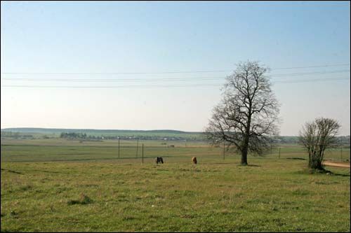  - Krajobrazy . Pole koło wioski, 04 2009