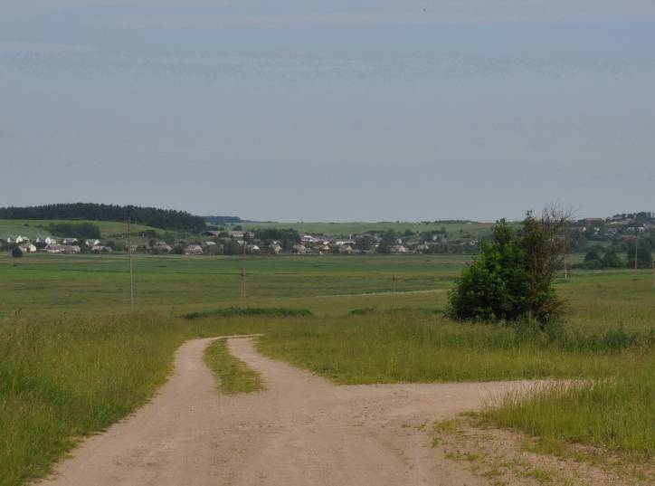 Задвея. Пейзажи 