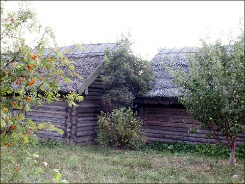 Строчыца (Азярцо).  Сектар «Цэнтральная Беларусь»