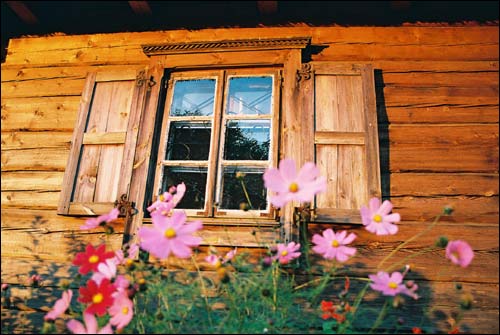  - Farmstead of Mickiewicz. 