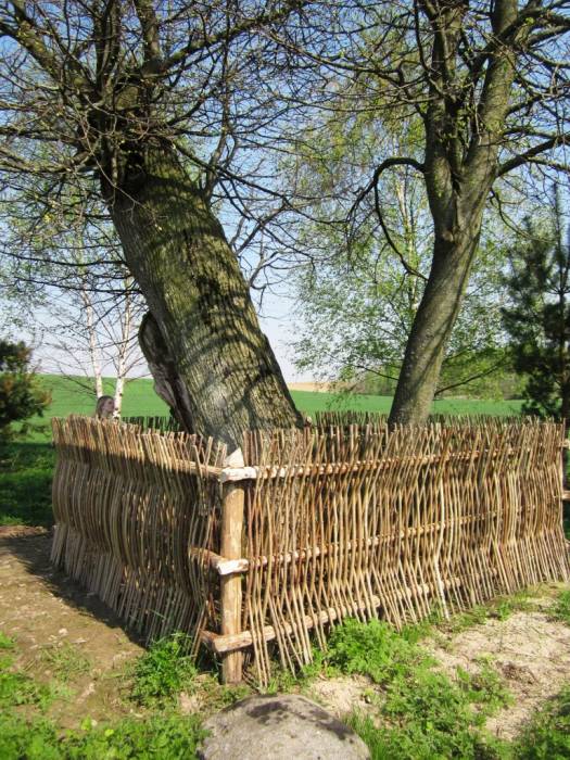  - Farmstead of Mickiewicz. 