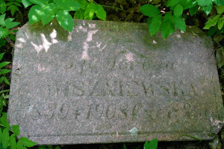  - - ³. Teresa Wiszniewska (1839-1908)