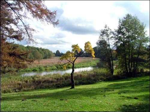  - Dwór Lubańskich w Łoszyce. Park, zakątek nad Świsłoczą