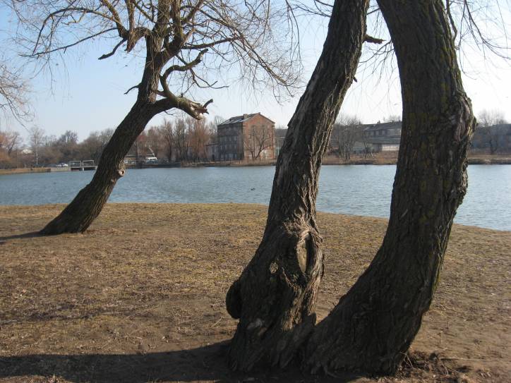  - Dwór Lubańskich w Łoszyce. 