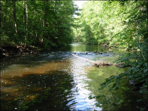 Альшэва. Гаспадарчы двор Хамінскіх