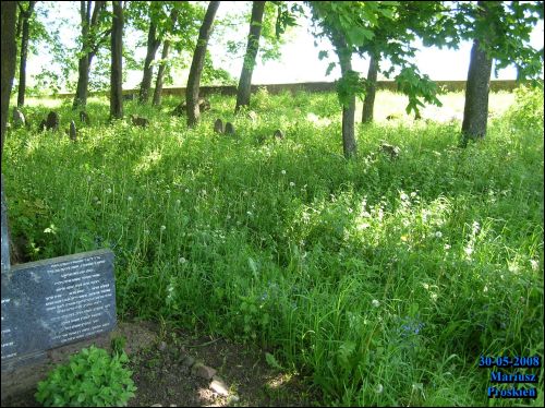  - Cmentarz żydowski. Bujna trawa cmentarna