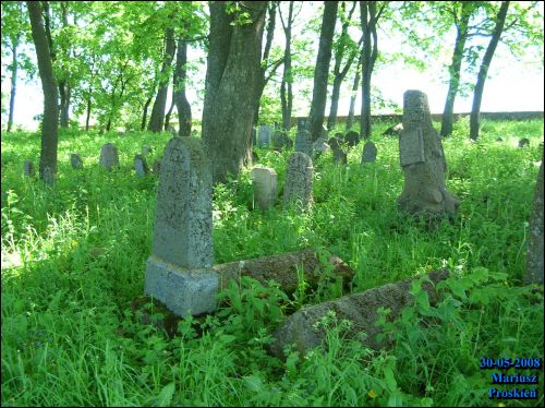  - Cmentarz żydowski. Macewy toną w trawie