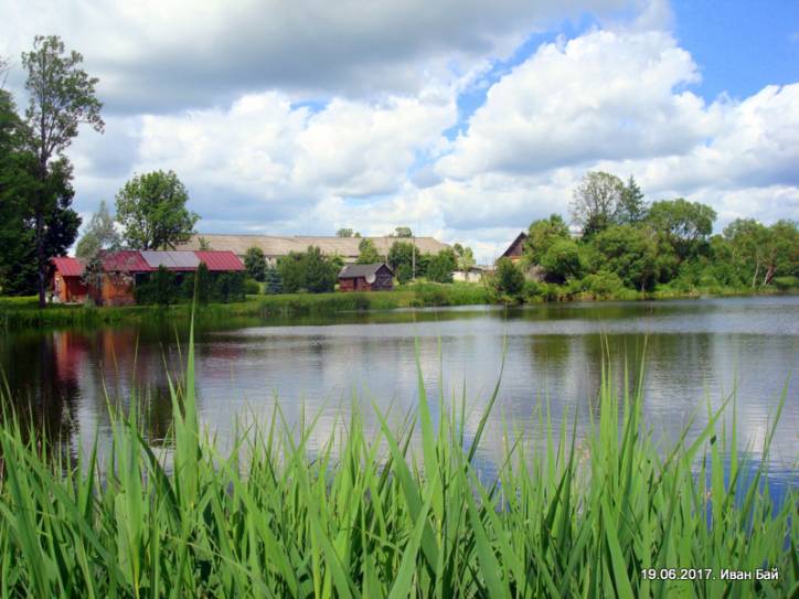  - Усадебно-парковый ансамбль Старжинских. 