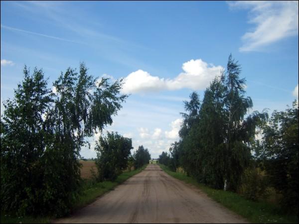 Дарога у вёску Мацылёўшчына. У вёсцы