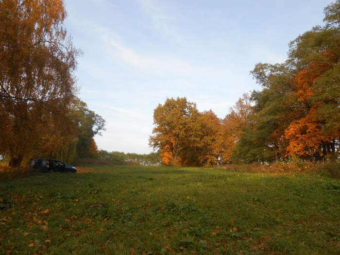  - Сядзібна-паркавы ансамбль Гартынгаў. Рэшткі парку