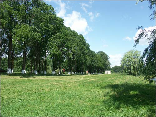  - Палацава-паркавы ансамбль Рдултоўскіх. Паркавая прысада