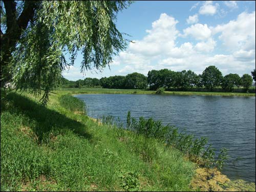  - Палацава-паркавы ансамбль Рдултоўскіх. Стаў у парку