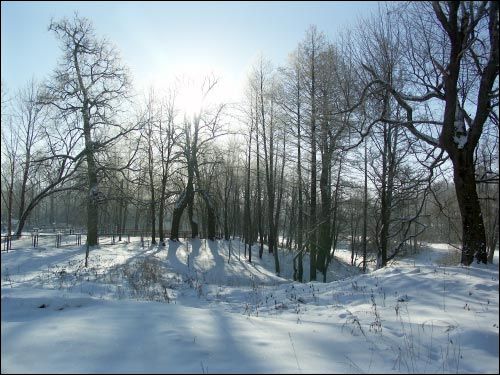  - Усадебно-парковый ансамбль Бонч-Осмоловских. 
