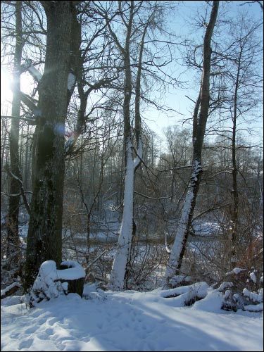  - Усадебно-парковый ансамбль Бонч-Осмоловских. 