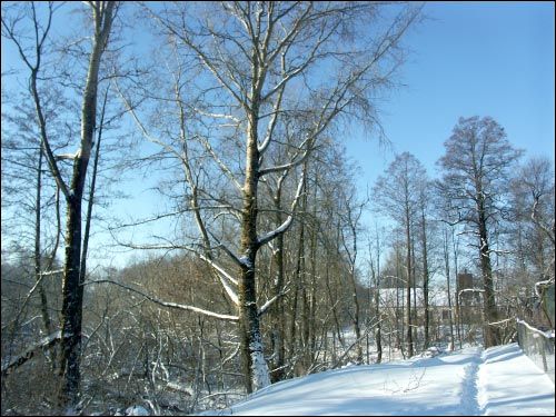  - Усадебно-парковый ансамбль Бонч-Осмоловских. 