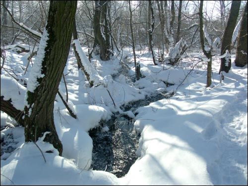 - Усадебно-парковый ансамбль Бонч-Осмоловских. 