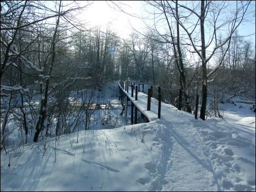  - Усадебно-парковый ансамбль Бонч-Осмоловских. 