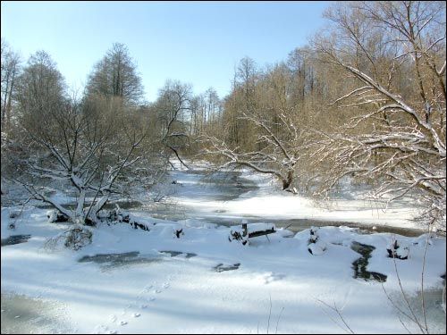  - Усадебно-парковый ансамбль Бонч-Осмоловских. 