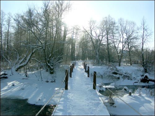  - Усадебно-парковый ансамбль Бонч-Осмоловских. 