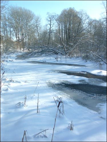  - Усадебно-парковый ансамбль Бонч-Осмоловских. 
