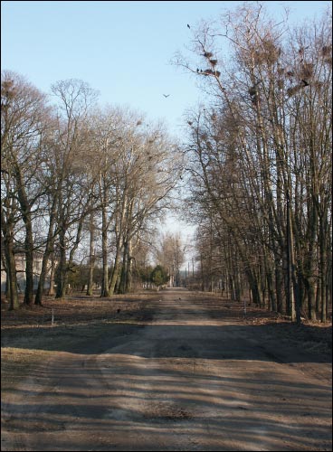 Дукора. Палацава-паркавы ансамбль Гартынгаў