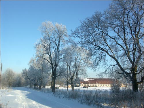 Дукора. Палацава-паркавы ансамбль Гартынгаў